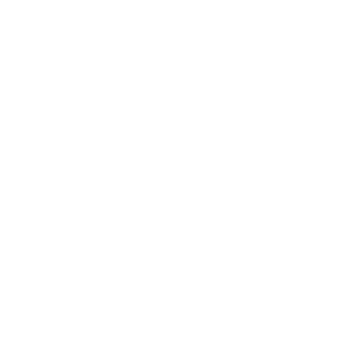 スカイウォーカーロゴ